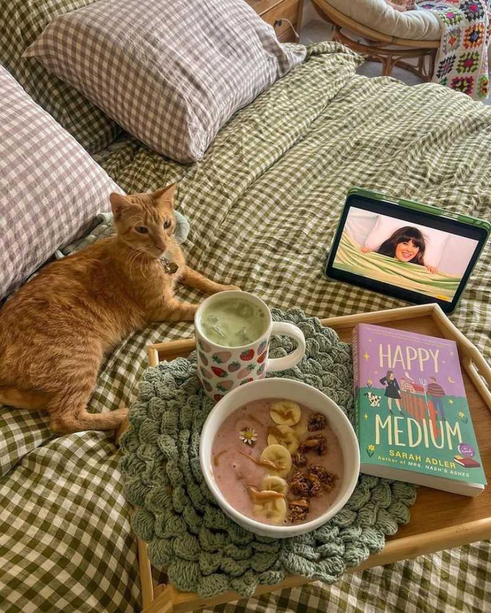 Un gatito sobre una cama de cuadros verdes campestres.
