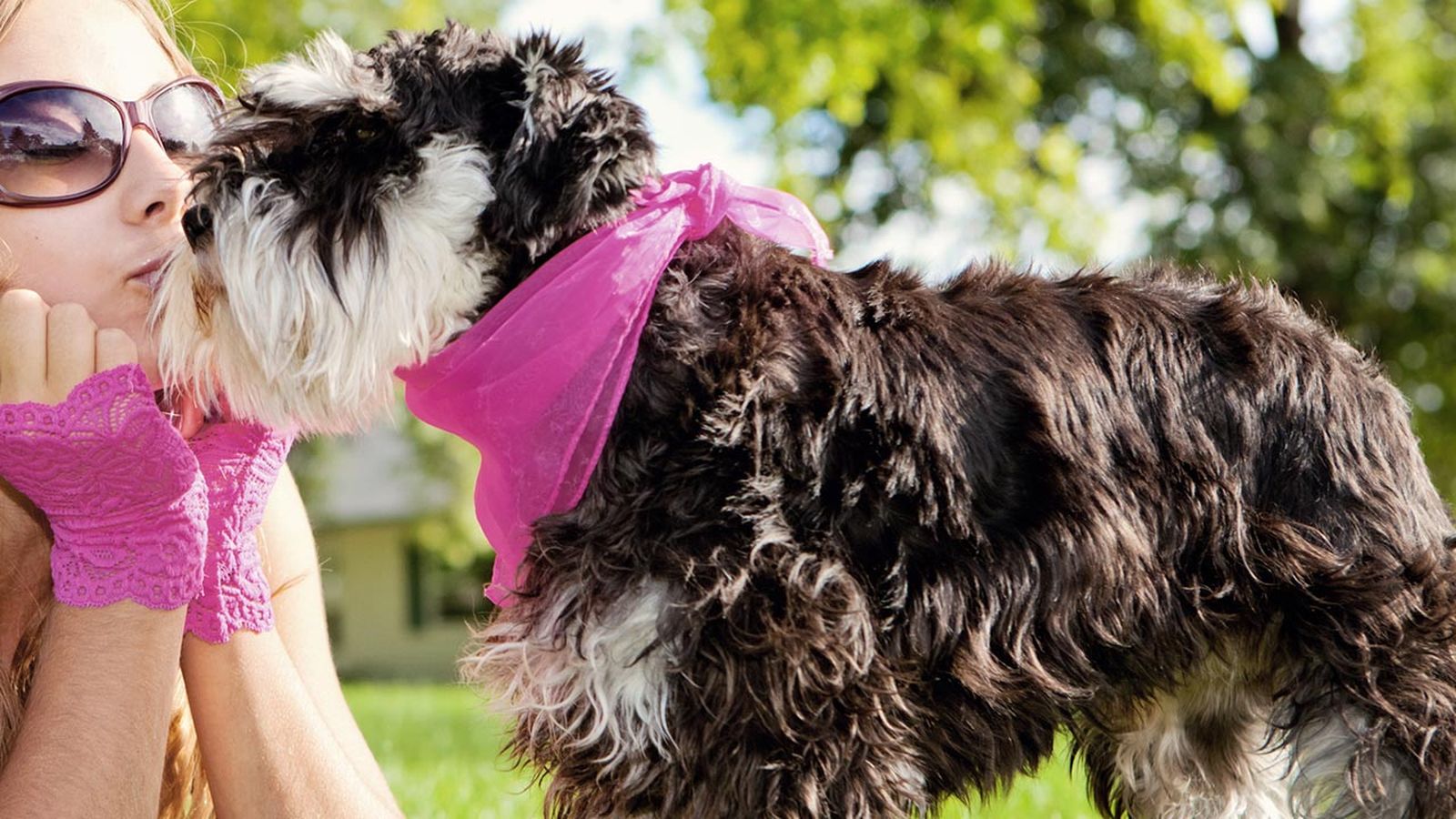 prevenir cancer mama perras portada1