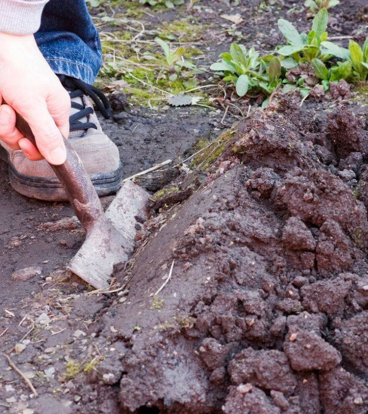 preparar tierra plantaciones primavera