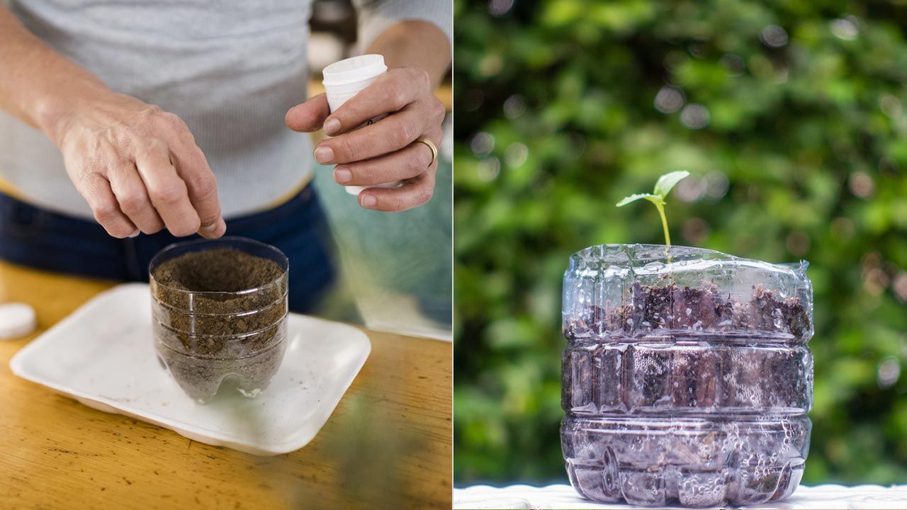 como hacer semilleros con botellas de plastico