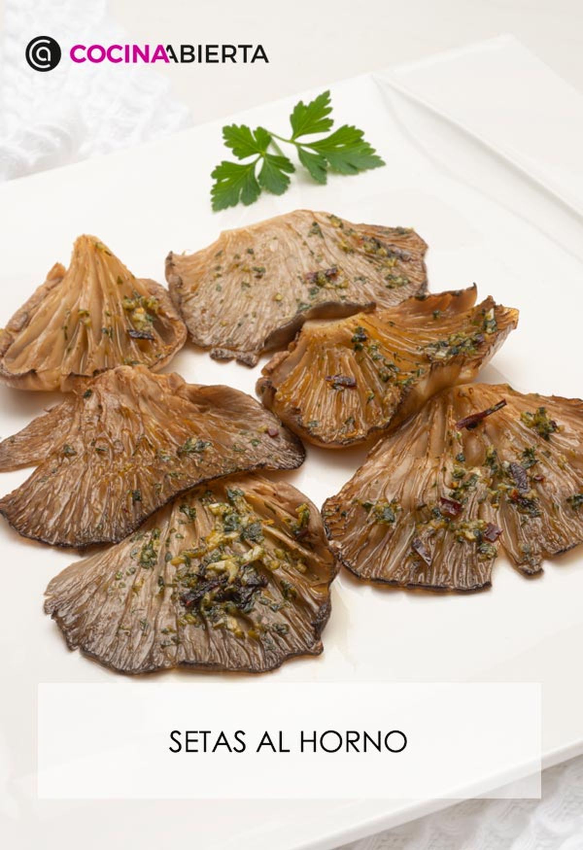 karl6624 setas horno v