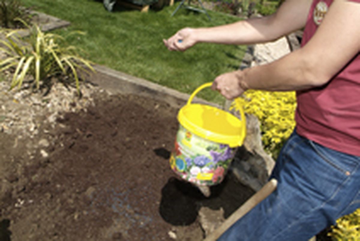 PARTERRE DE FLOR DE TEMPORADA P1