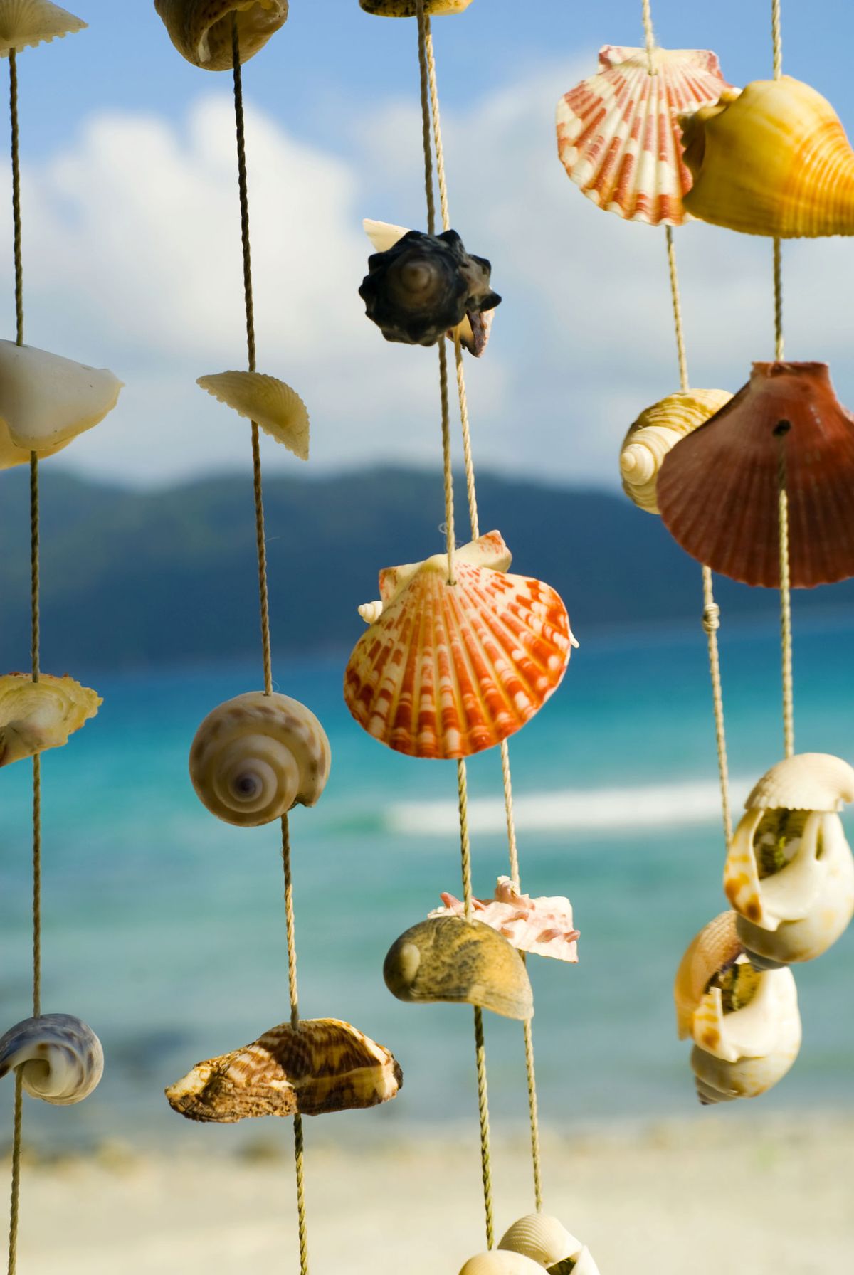 Cortinas y carillones de viento con conchas de mar 2