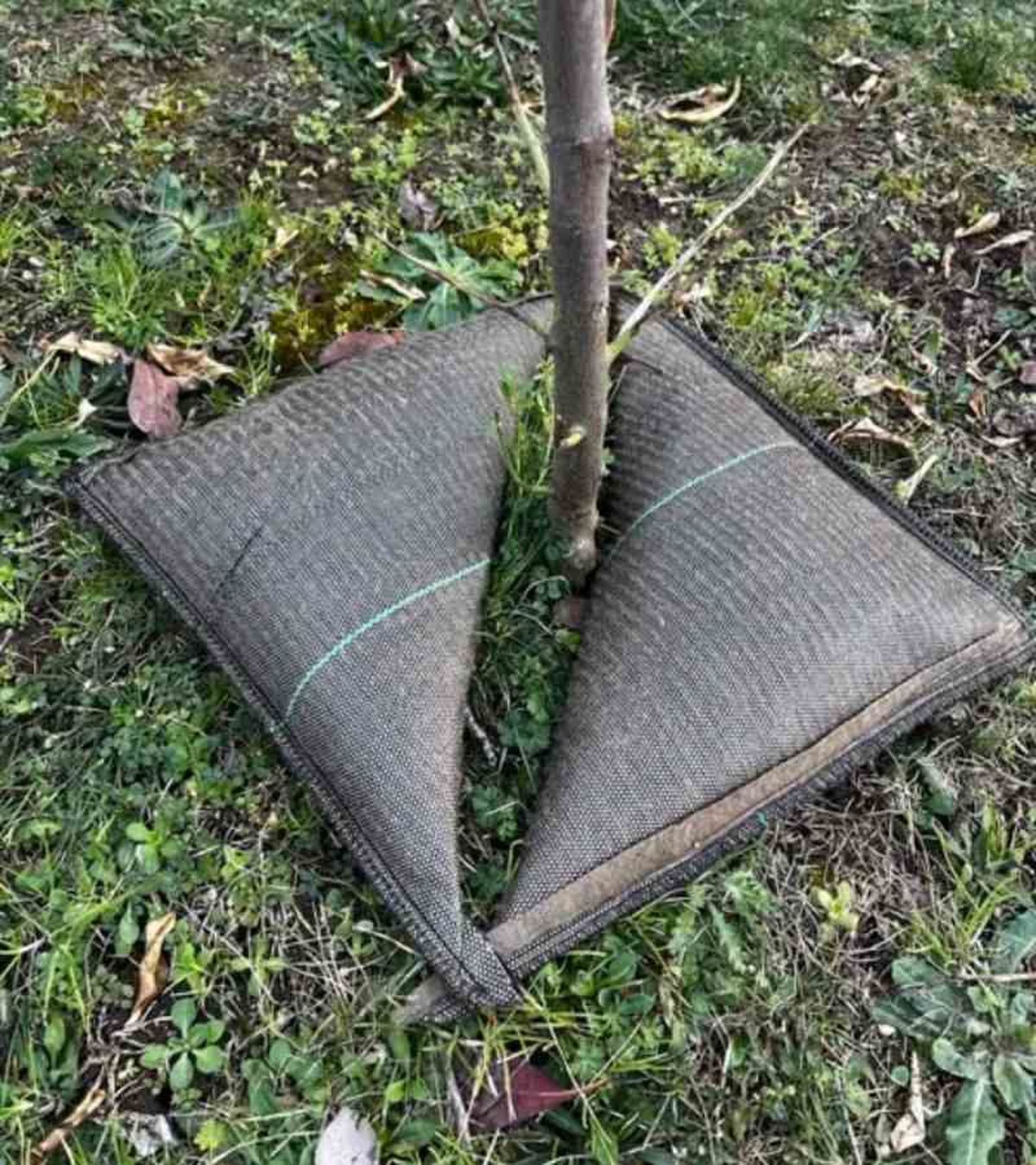 Cojines de riego TREE'BED 400