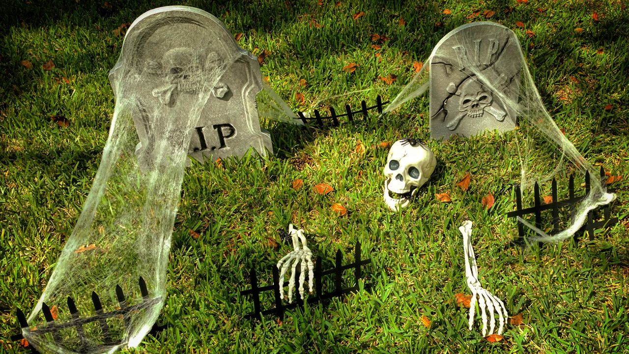 telearañas craneos halloween