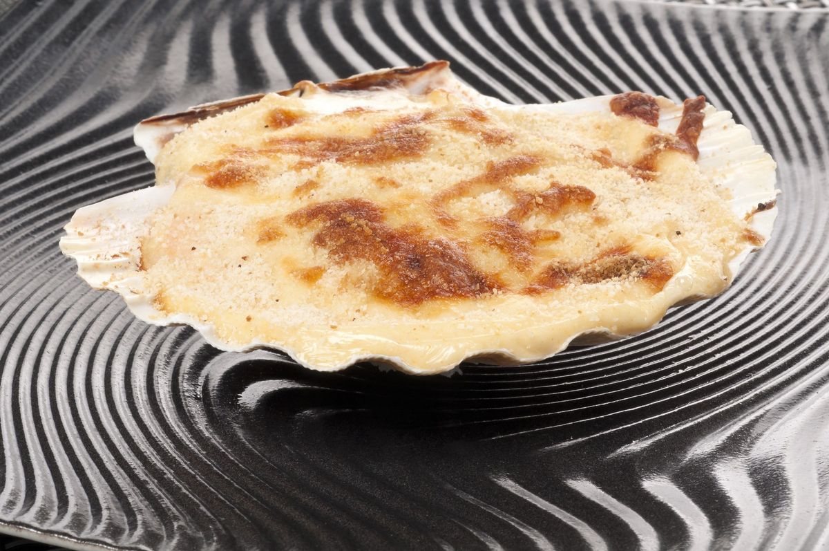 168 Vieiras para Malen