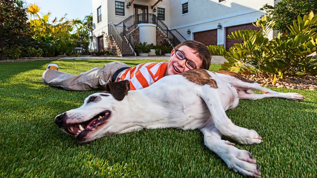 jardin cesped artificial