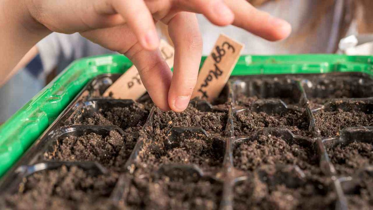 que plantar en marzo