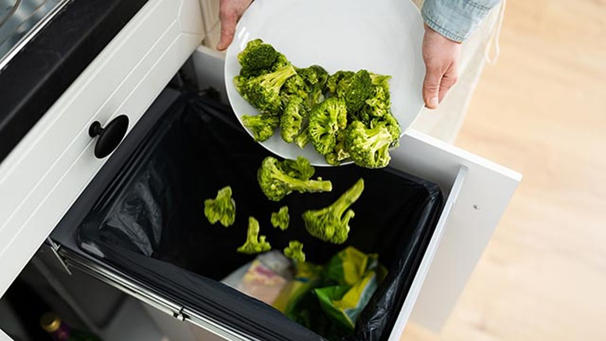 ley desperdicio alimentario 4