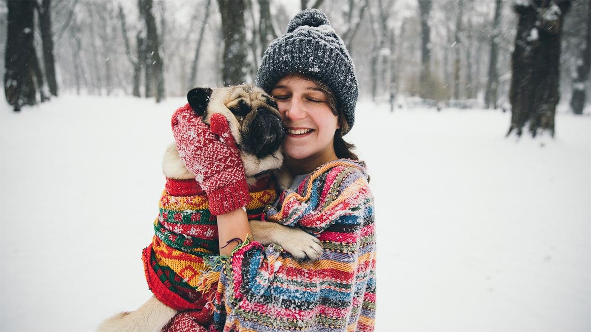 Consejos que debes tener en cuenta antes de salir a la nieve con tu mascota.