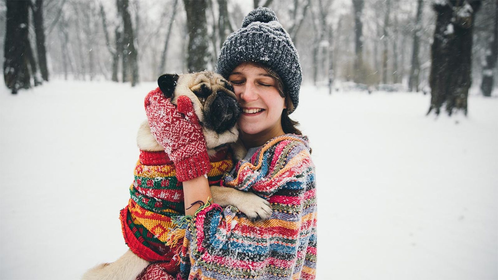Consejos que debes tener en cuenta antes de salir a la nieve con tu mascota.
