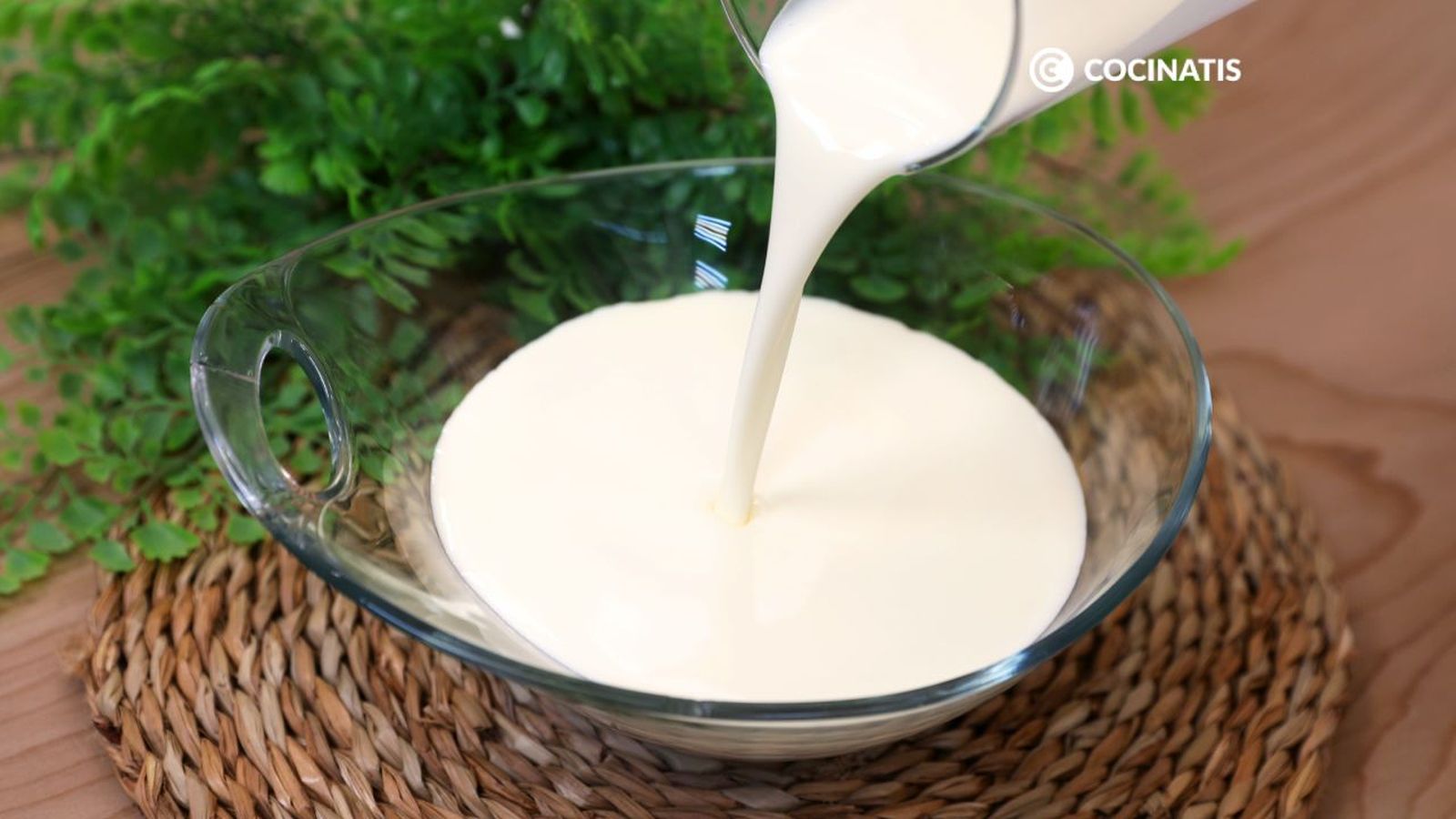 CTIS1078 receta crema de leche