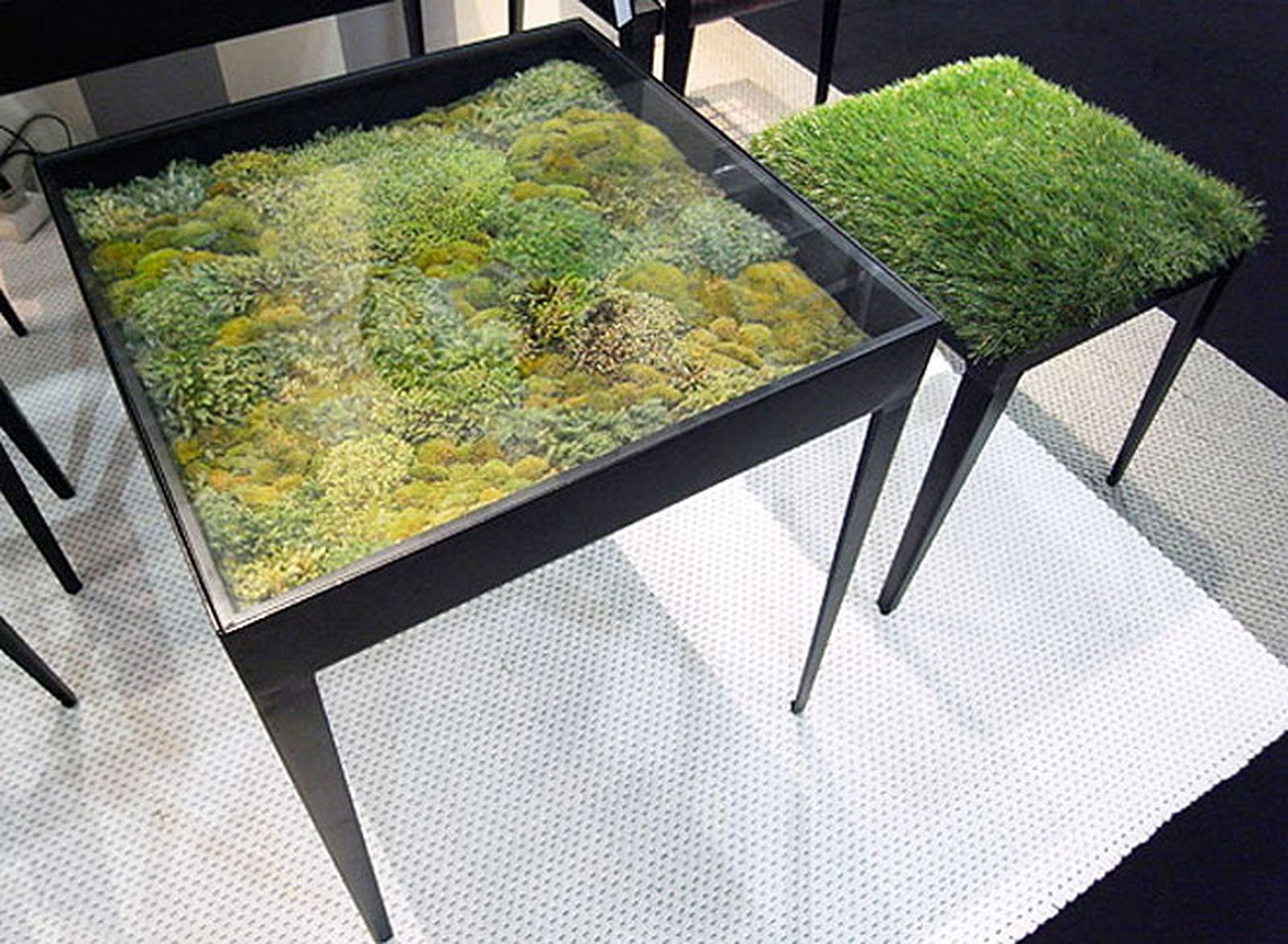 decoracion vegetal jardin interior 1