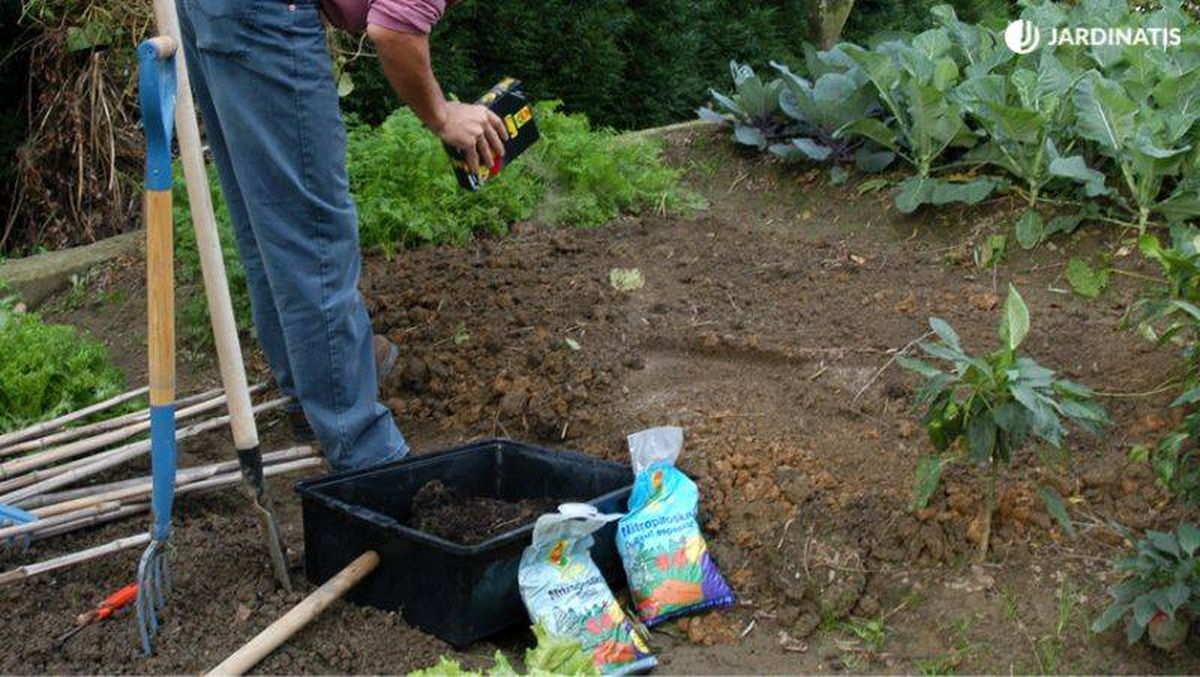 Abona la tierra ligeramente / foto: Hogarmania