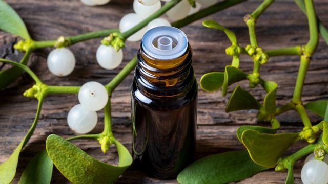 propiedades medicinales del muerdago