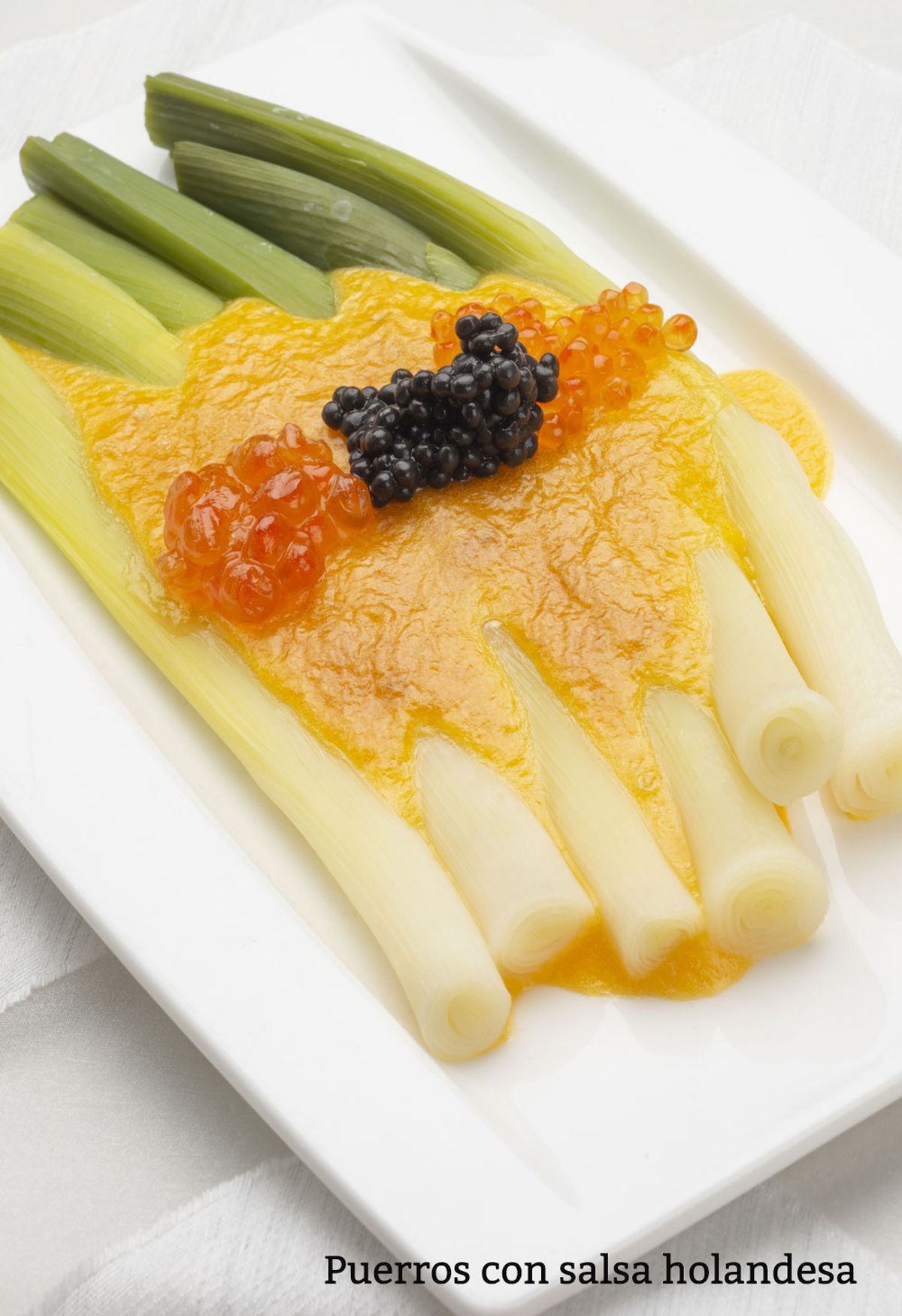 puerros salsa vertical