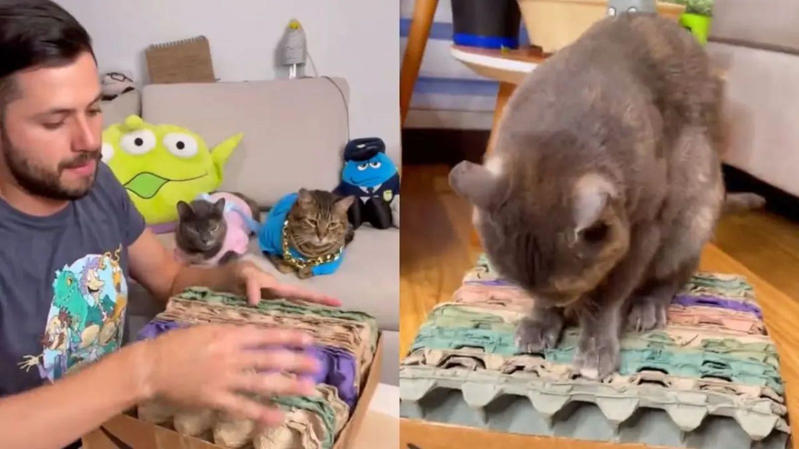 rascador casero para gatos ok