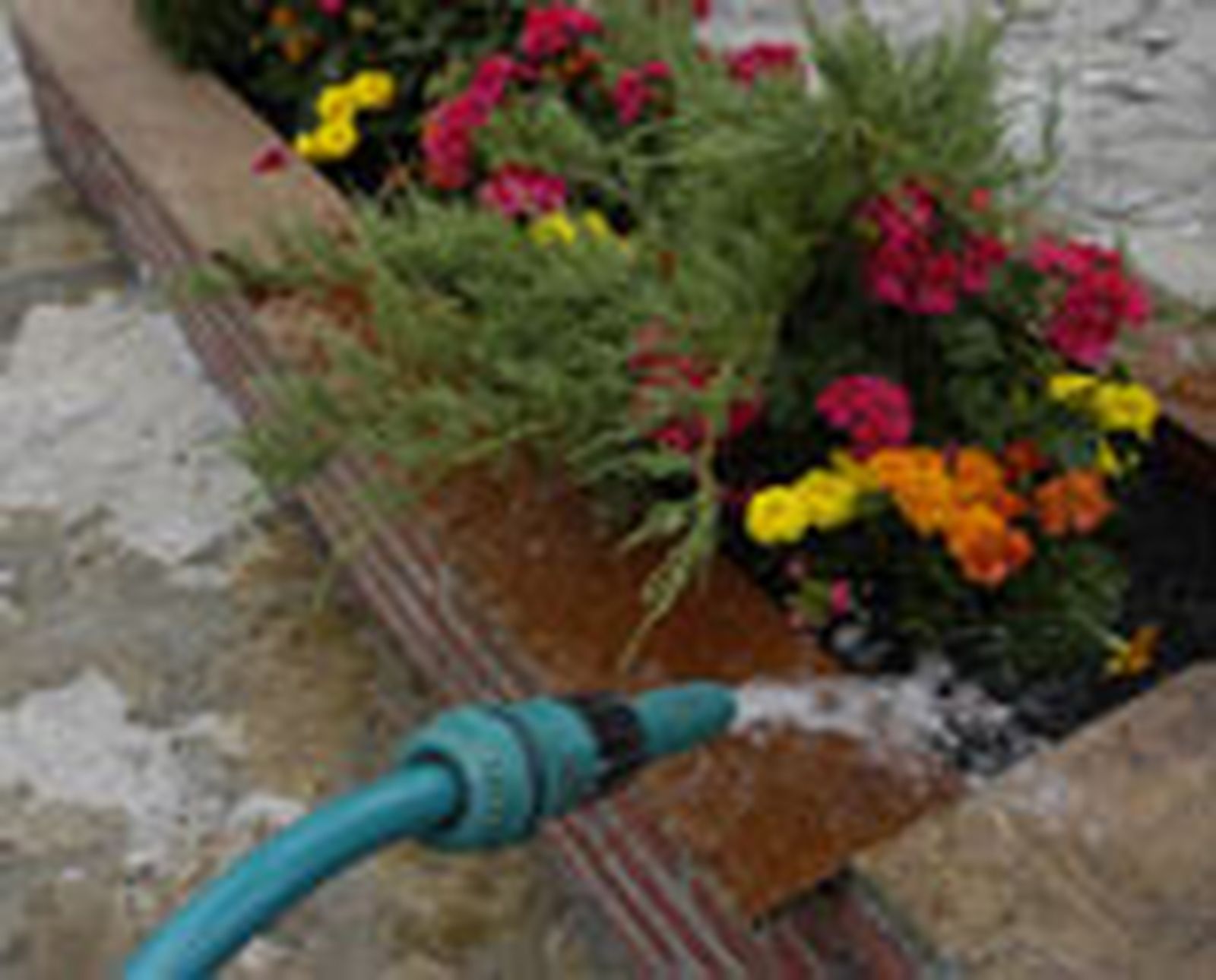 jardinera p07