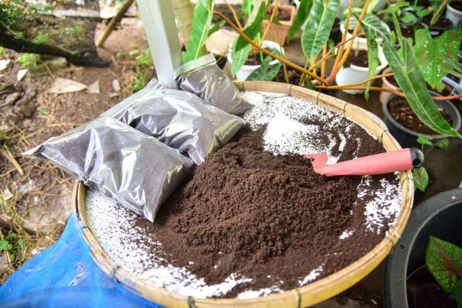 Fertiliza el jardín