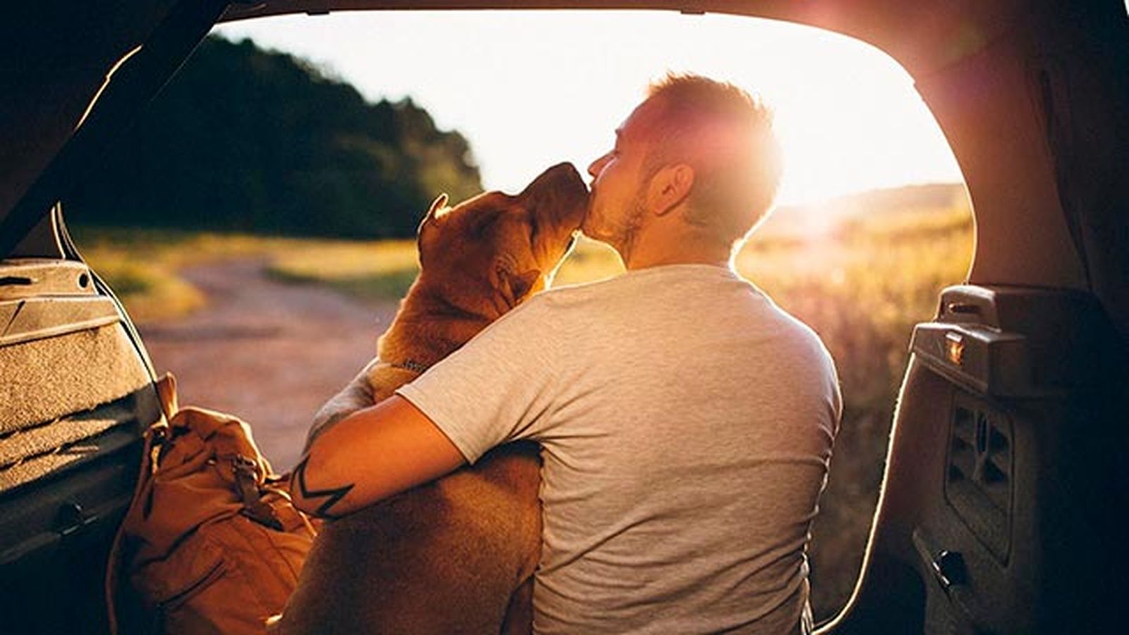 7 razones adoptar perro 3