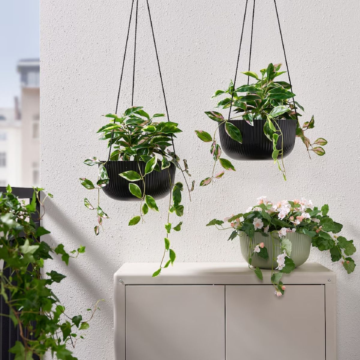 sorporte colgante plantas