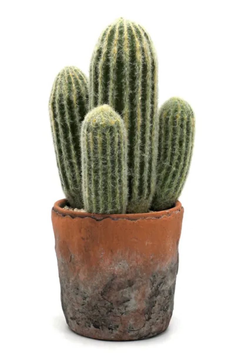 Cactus abuelo o cabeza de viejo artificial de Leroy Merlin.