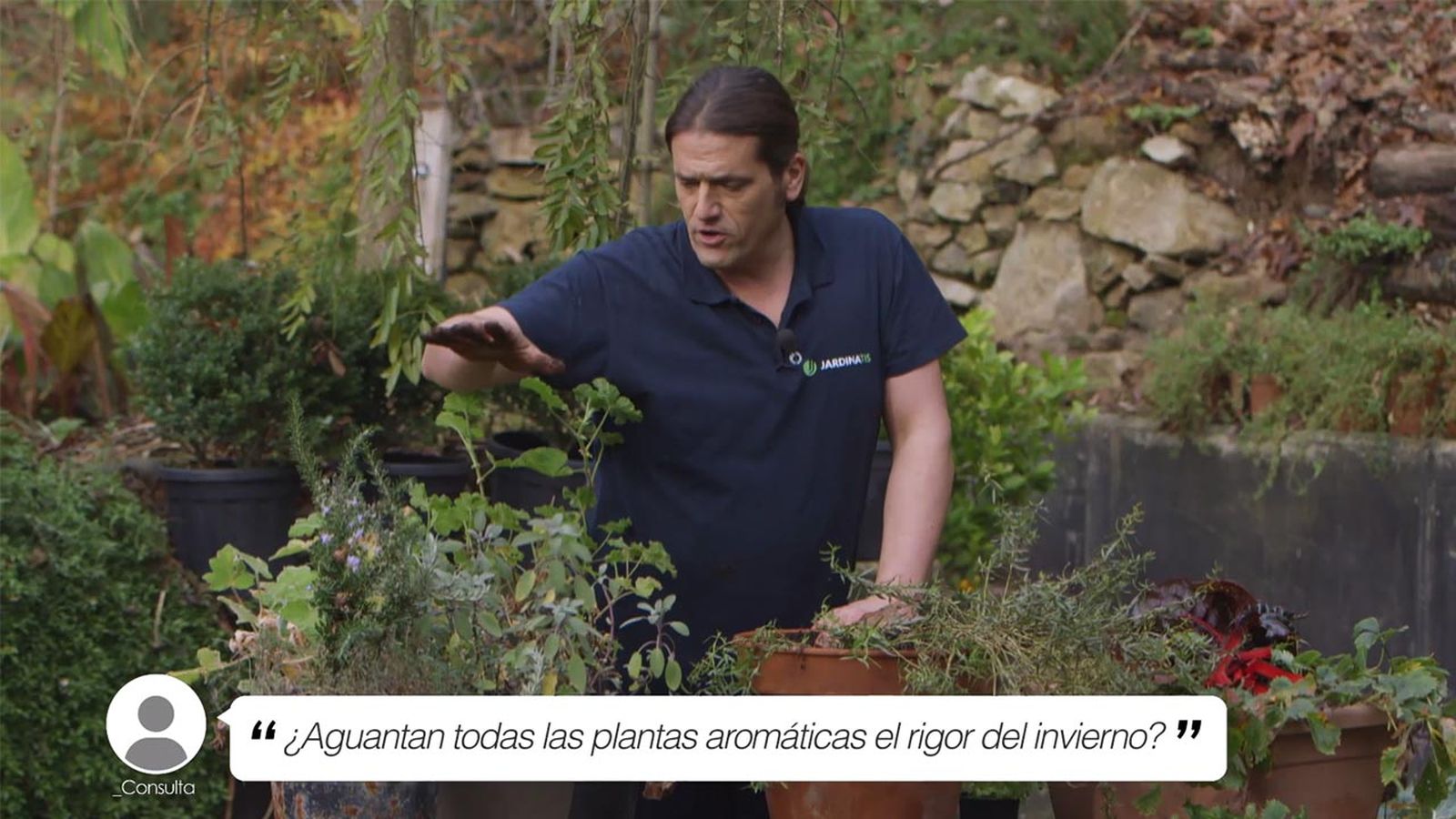 brico jardin 1021 briconsulta aguantan aromaticas invierno