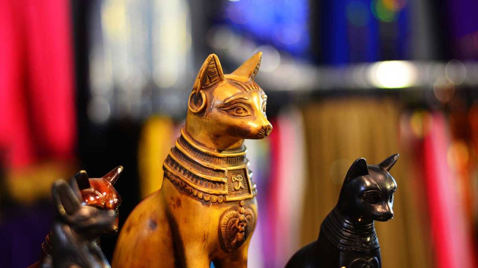 mascotas en el antiguo egipto 4 (1)