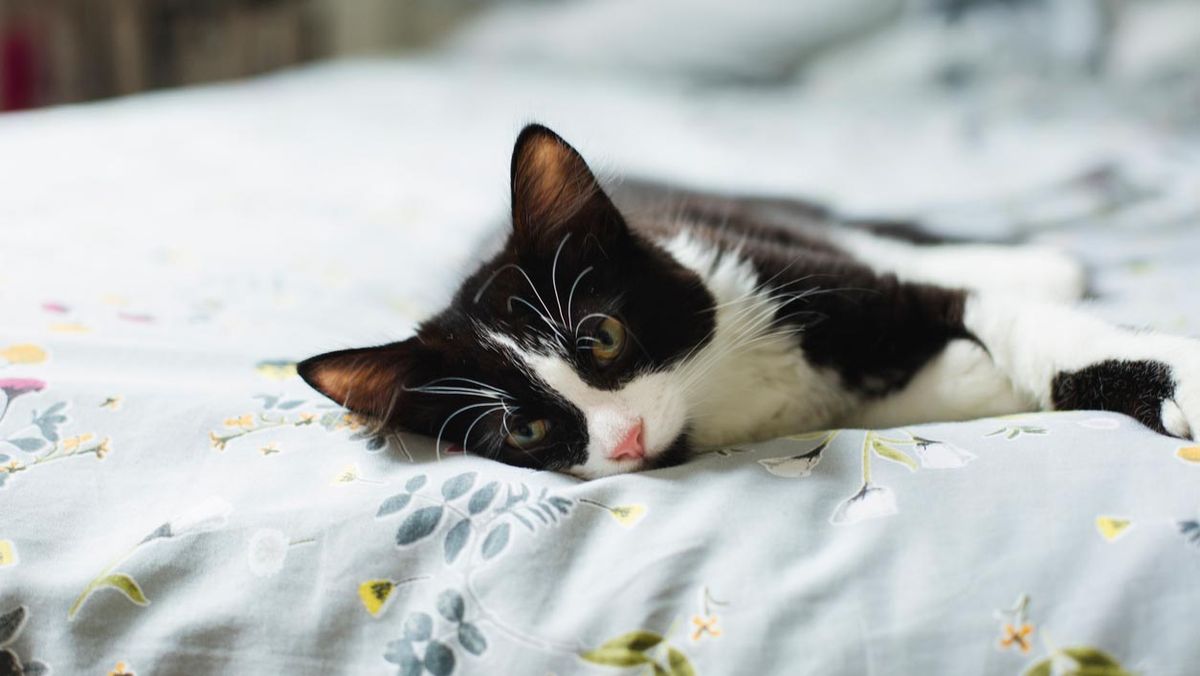 dormitorio gris colcha flores