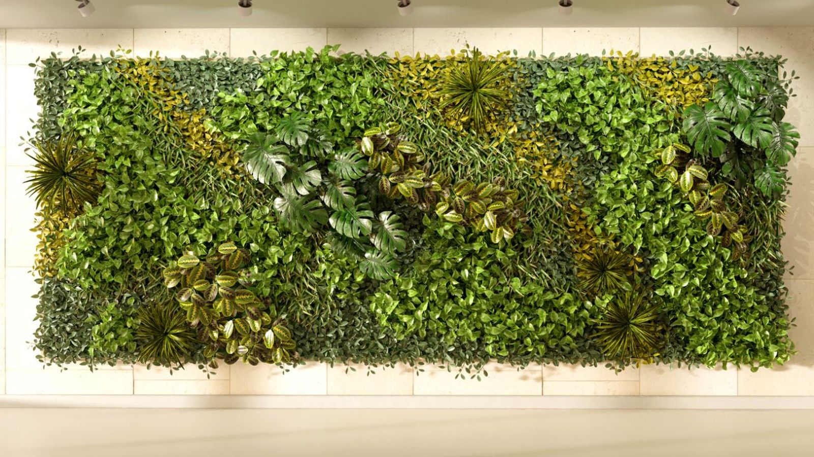 jardin vertical que es y mejores plantas