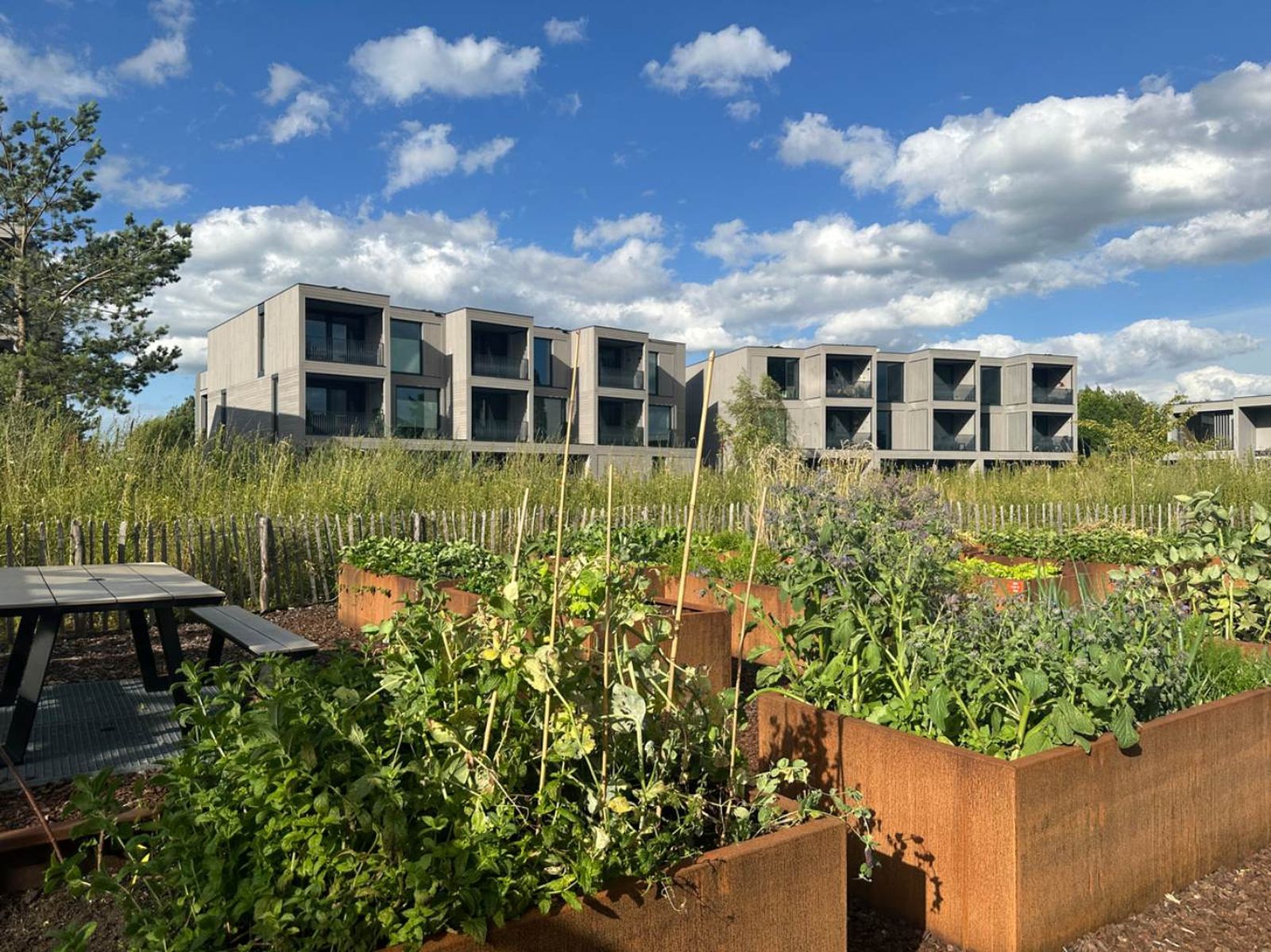 Jardineras de acero corten.