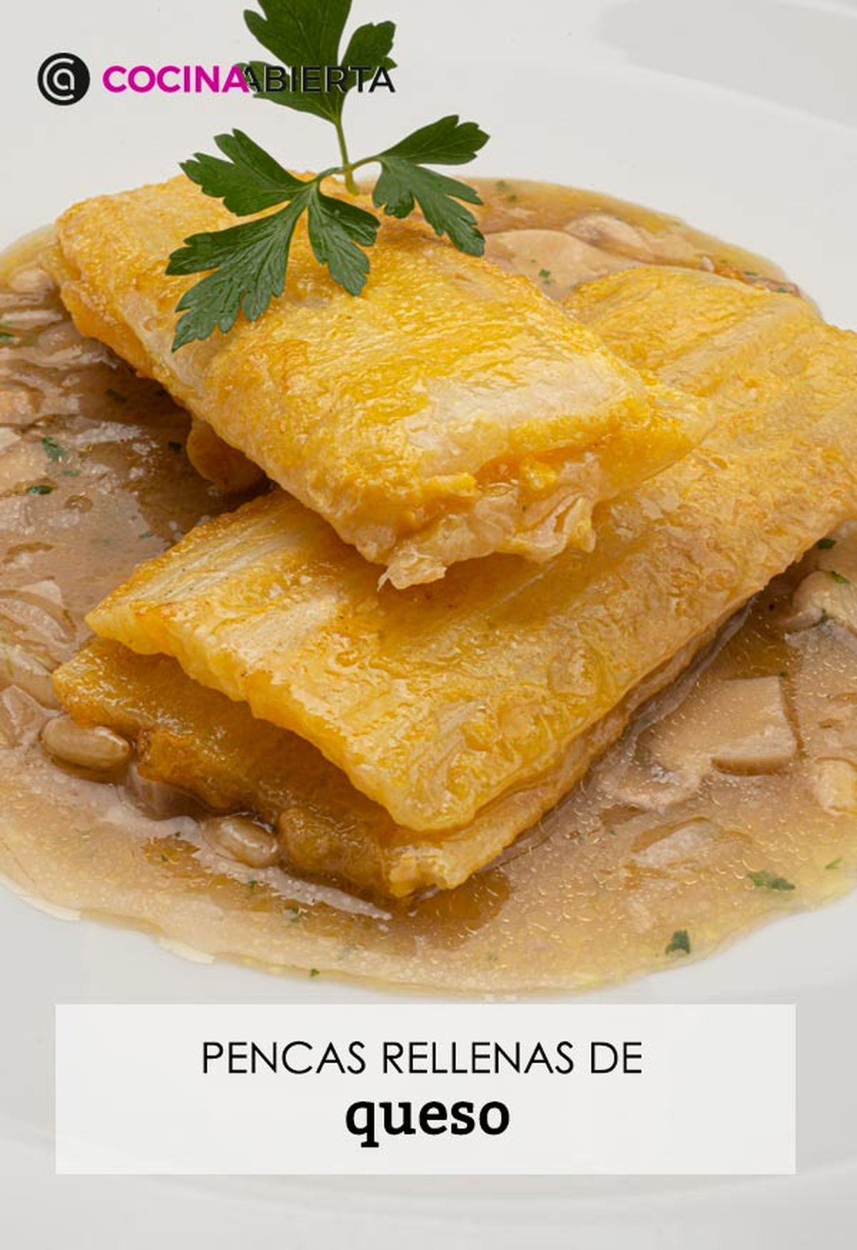 karl6659 pencas queso v