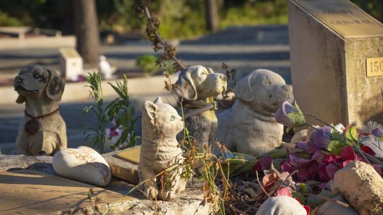 cementerio mascotas Ultima Llar Tarragona