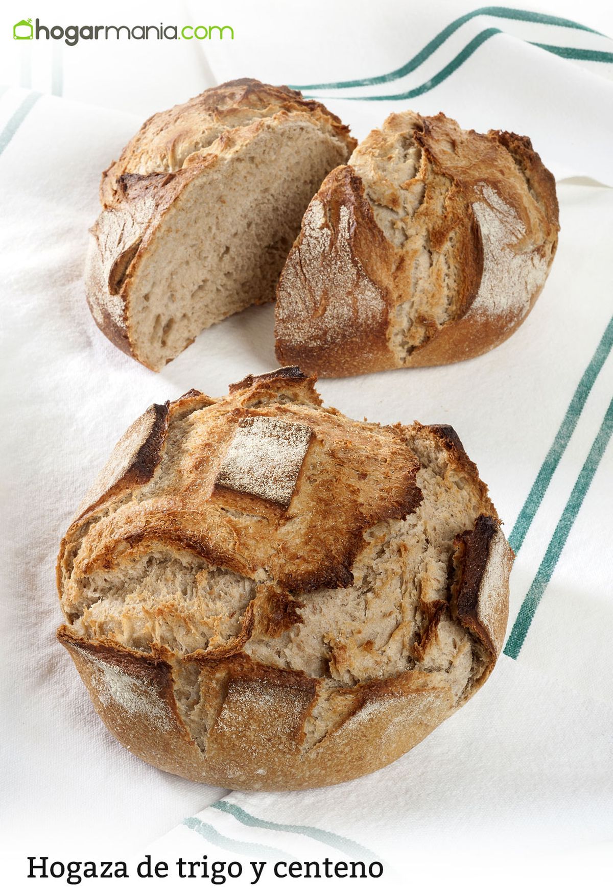 CABI0042 Joseba Hogaza de trigo y centeno vertical xl