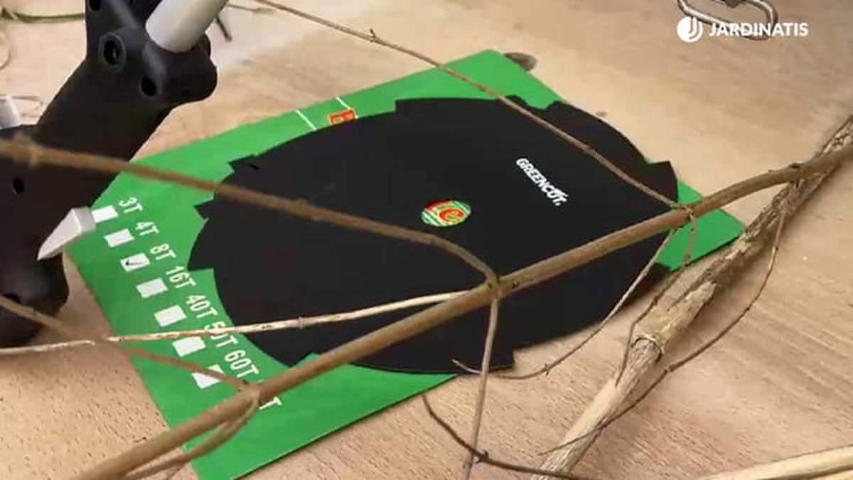 tipos discos desbrozadora gasolina 4