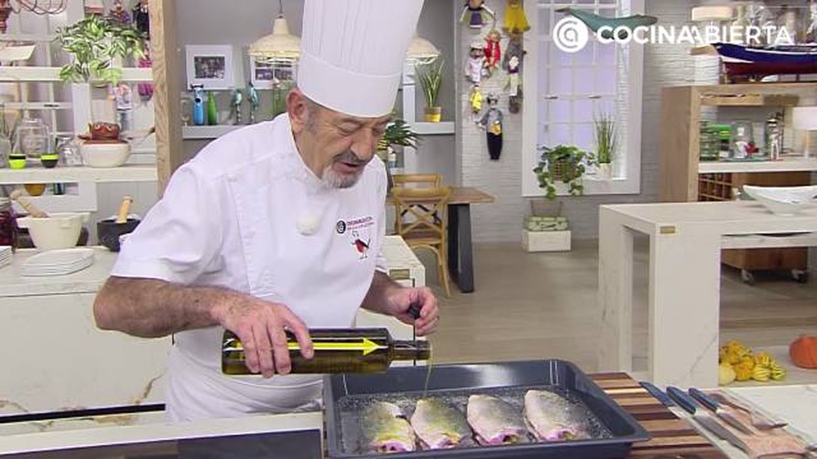 karl7045 lubina hongos p3