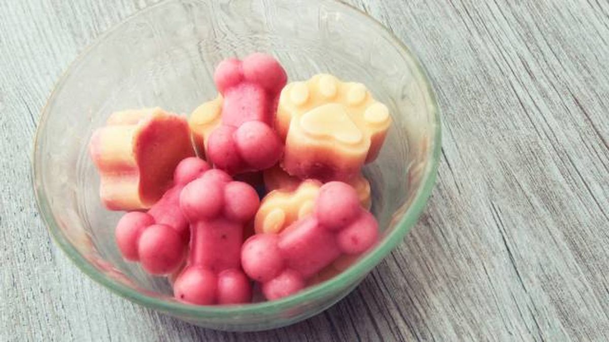 como hacer helados caseros nutritivos para perros moldes de premio