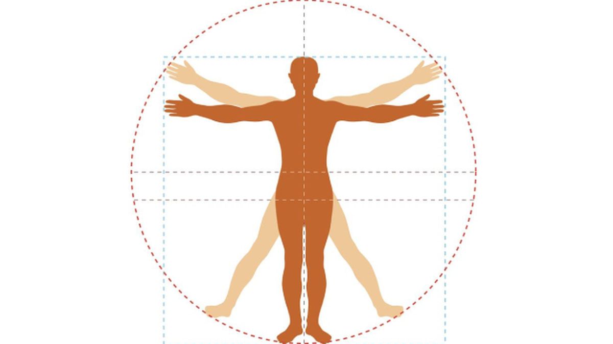 proporcion aurea cuerpo  (1)