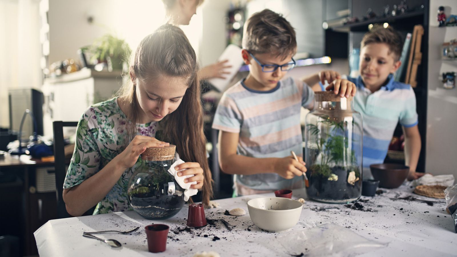 juegos ninos aprendan disfrutan plantas casa xl