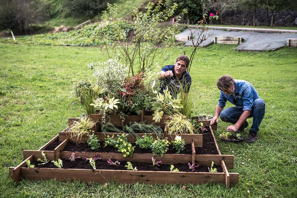 962 parterre piramidal paso9 xl