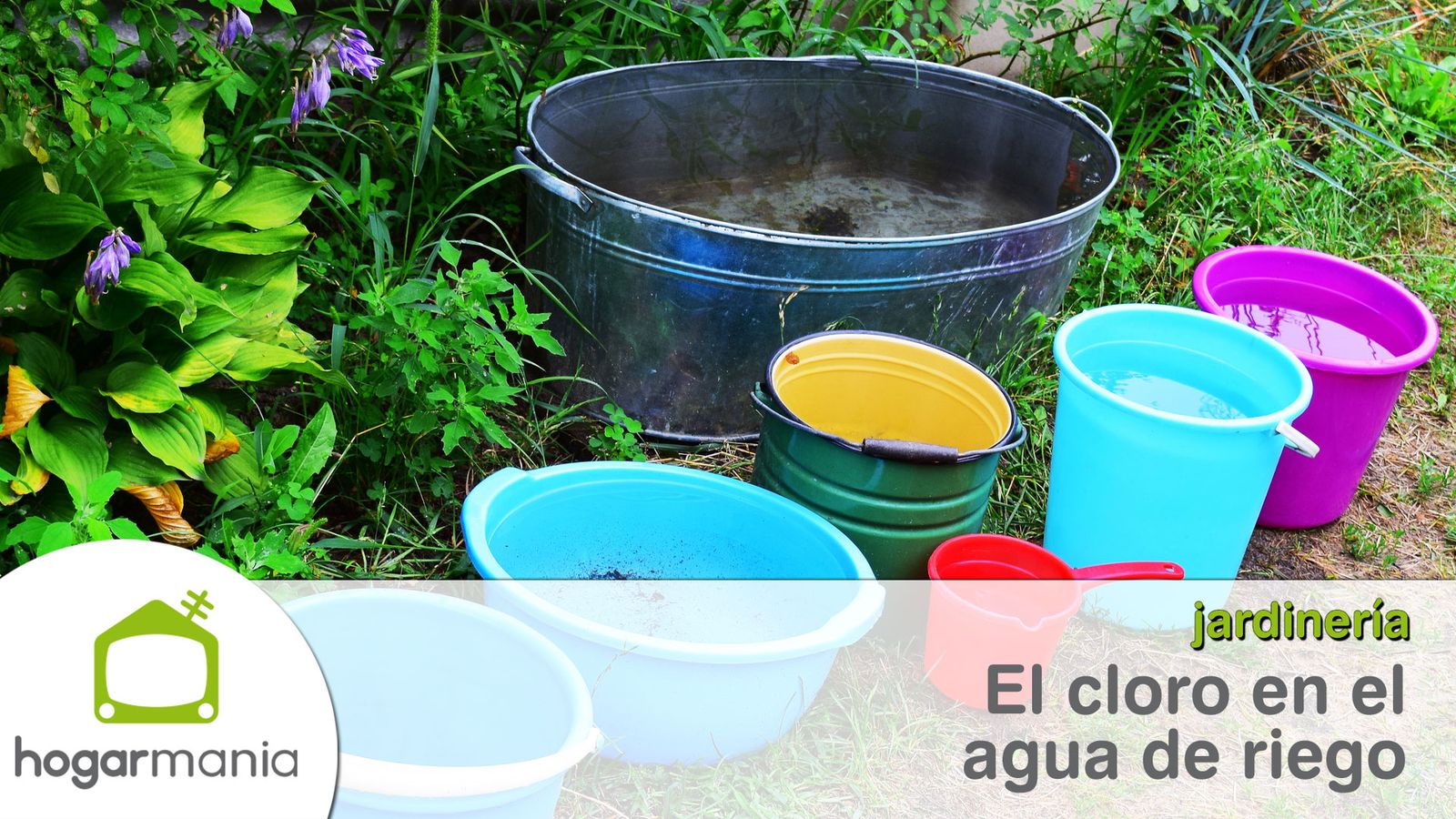 mejor agua riego sin cloro xl