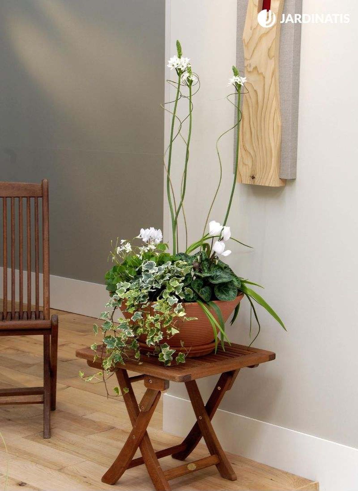 Composición floral de Ornithogalum thyrsoides junto a cristantemos y hiedra variegada