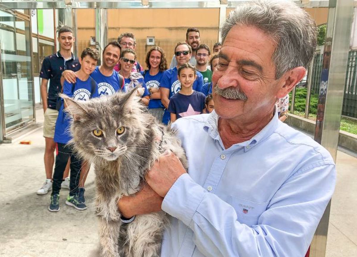 La inesperada visita de un gato, de nombre Socio.