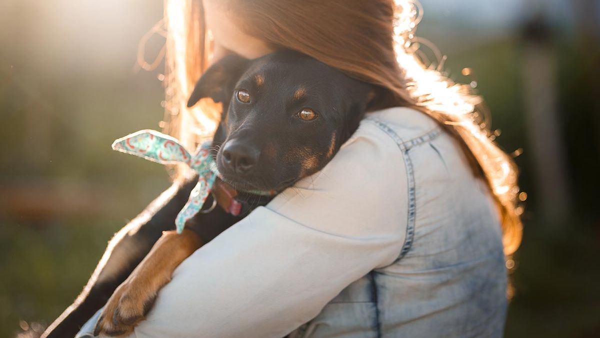 6 consejos evitar cancer perros 4