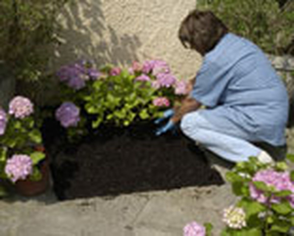 307 revc bituminos p05