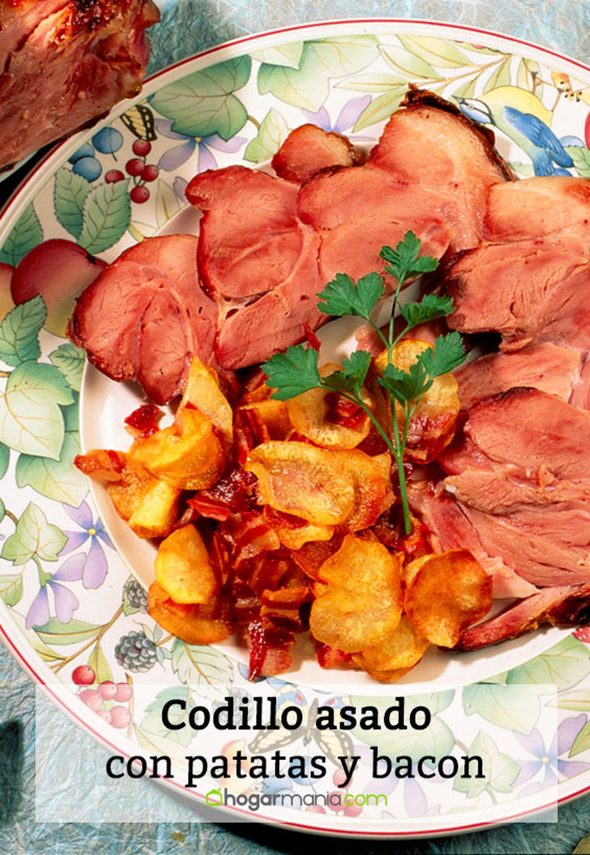 094 1 codillo asado pin