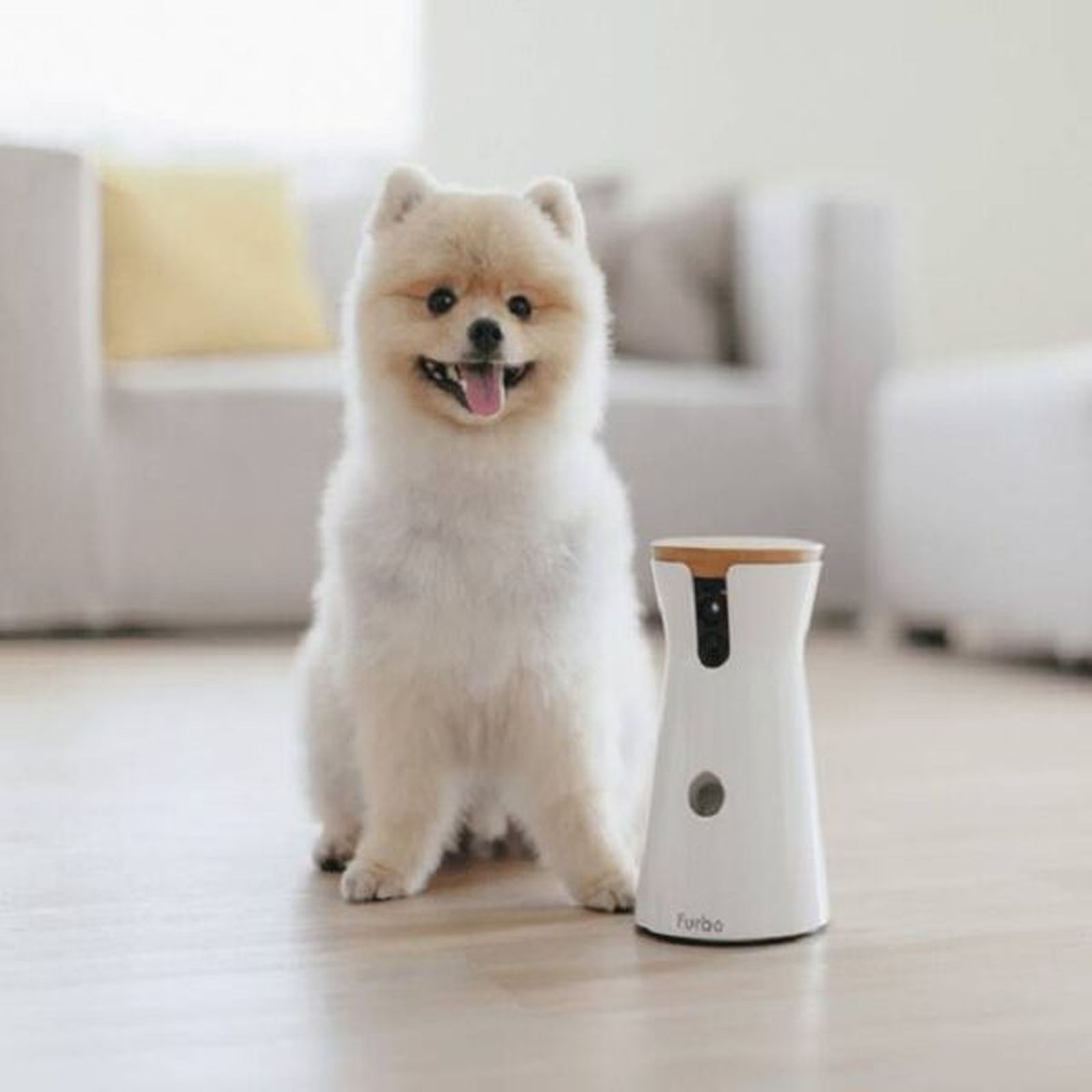camara furbo smylepets1 600x600
