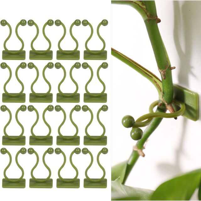 soporte para plantas trepadoras con autoadhesivo amazon
