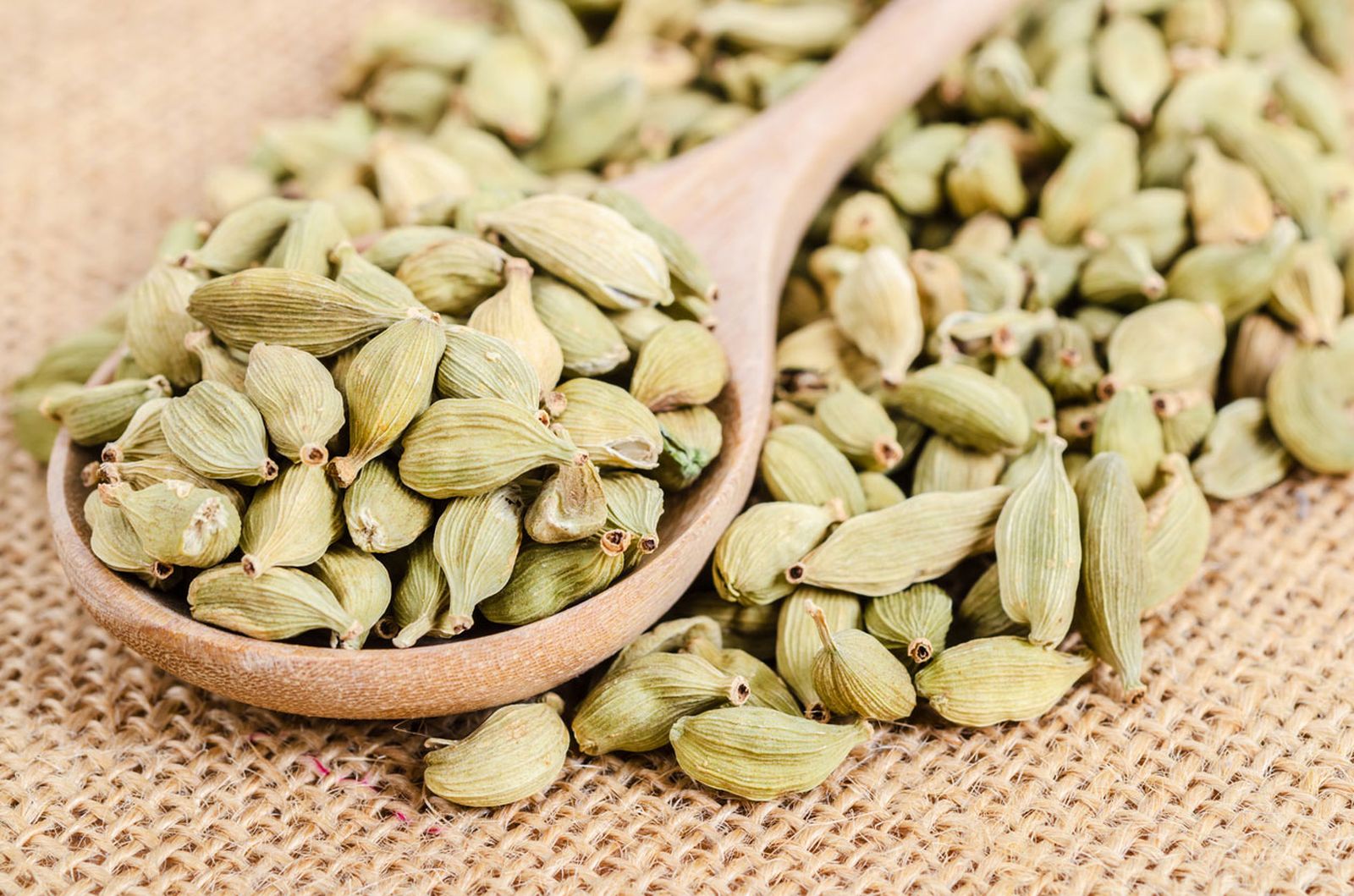 Cardamomo propiedades