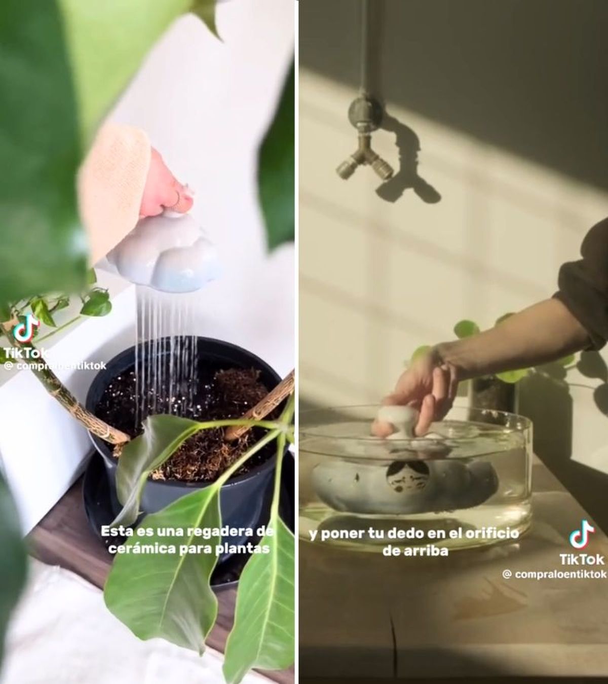 Regadera en forma de nube